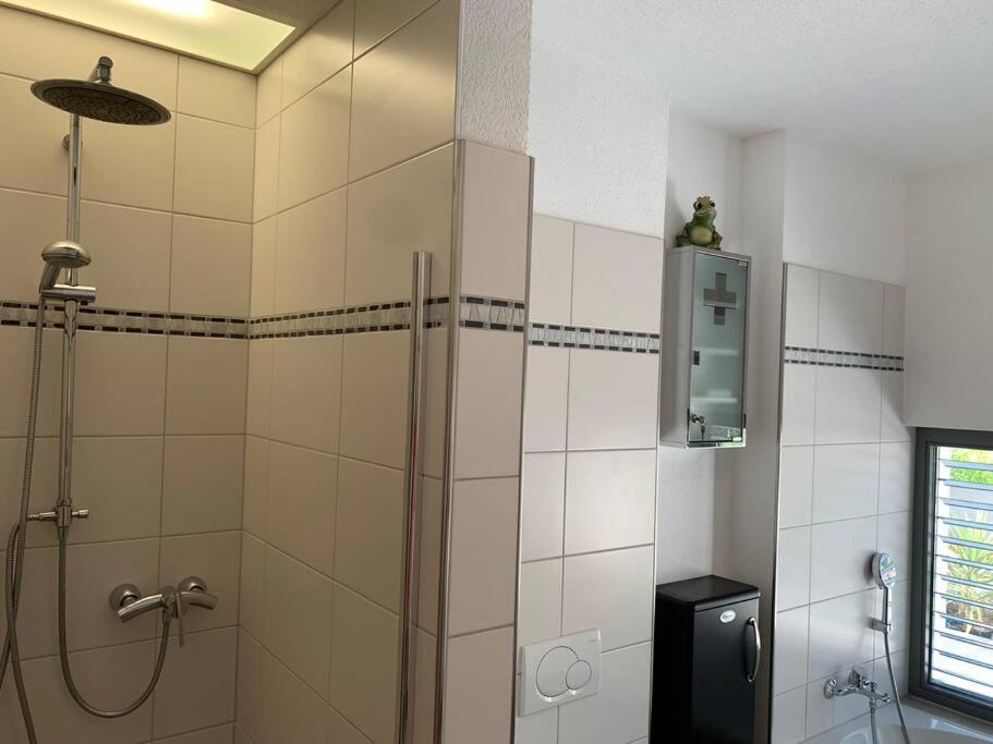 Panorama Apartment Кандерн Экстерьер фото